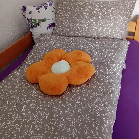 Natti Apartment Sremska Kamenica