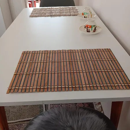 Apartment Natti Sremska Kamenica